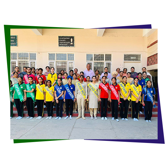 why choose us new design